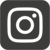 Insta-Icon
